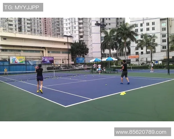 深圳网球队意识争议引发热议网球界的未来发展方向何在